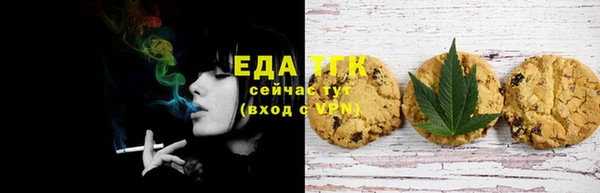 мдпв Верхний Тагил