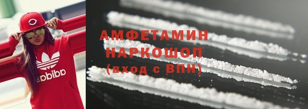сатива Верея