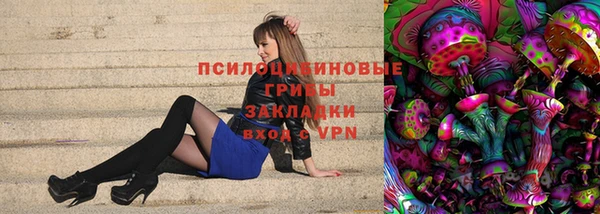 сатива Верея