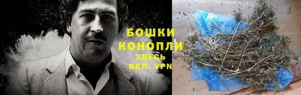 сатива Верея