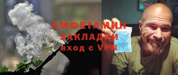 сатива Верея
