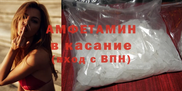 сатива Верея