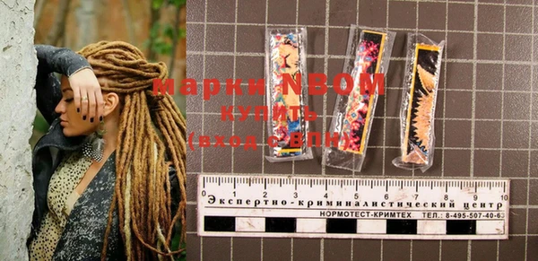 мдпв Верхний Тагил