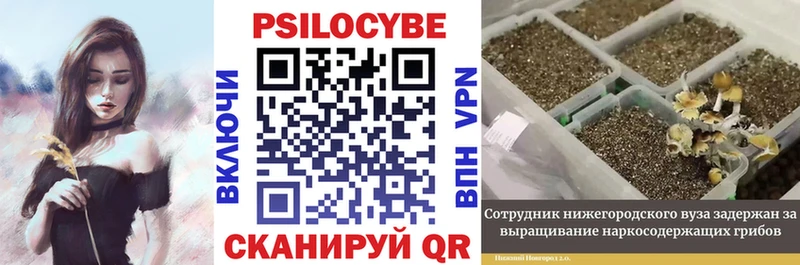Псилоцибиновые грибы ЛСД  купить   маркетплейс телеграм  Хасавюрт 